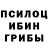 Cannafood конопля Damien Kidd