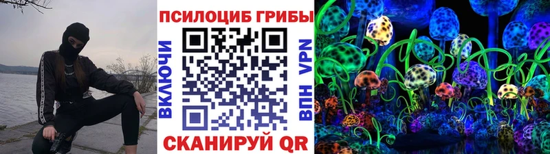 omg сайт  Евпатория  Галлюциногенные грибы Psilocybe 