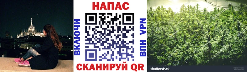 дарк нет формула  Евпатория  Бошки марихуана конопля 